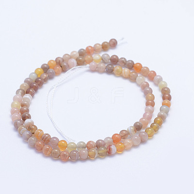 Natural Botswana Agate Beads Strands G-F530-04-4mm-1