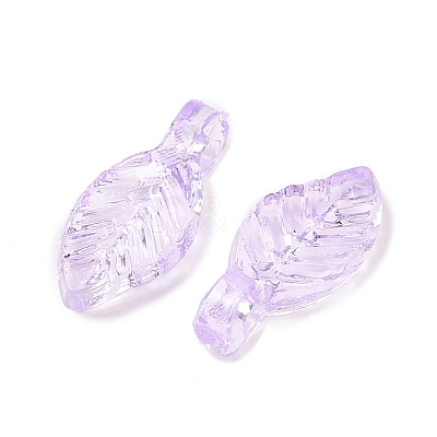 Transparent Acrylic Charms OACR-G054-02F-1