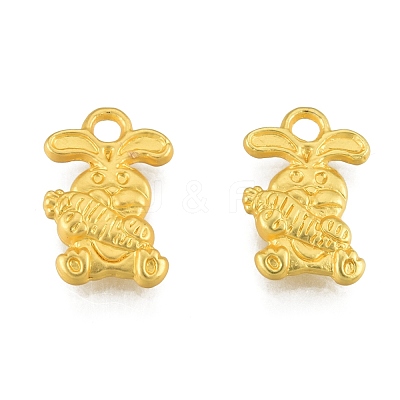 Alloy Charms FIND-G035-06MG-1
