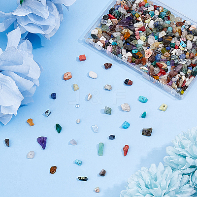 2 Strands Natural & Synthetic Mixed Gemstone Chip Beads Strands G-DC0001-56-1