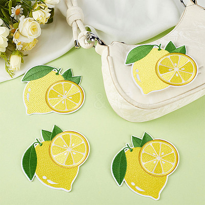 12Pcs Computerized Embroidery Polyester Iron on/Sew on Patches DIY-MA0007-24-1