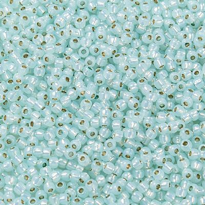 TOHO 11/0 Round Beads X-SEED-TR11-PF2116-1