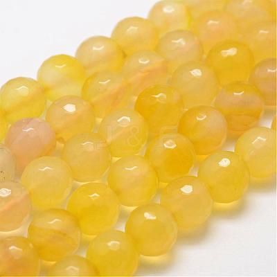 Natural Agate Bead Strands G-G882-12mm-A04-1