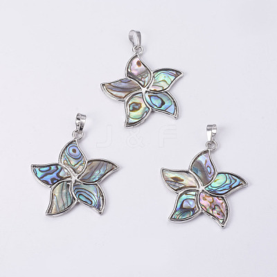 Abalone Shell/Paua Shell Pendants SSHEL-L008-24A-1