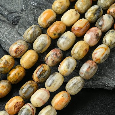 Barrel Shaped Gemstone Natural Crazy Lace Agate Beads Strands X-G-S114-08-1