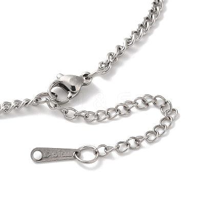 Non-Tarnish 304 Stainless Steel Pendant Necklaces LS-NJEW-C017-01P-1