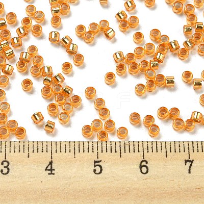 Glass Seed Beads SEED-S042-04A-11-1