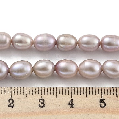 Natural Cultured Freshwater Pearl Beads Strands PEAR-P062-08J-1