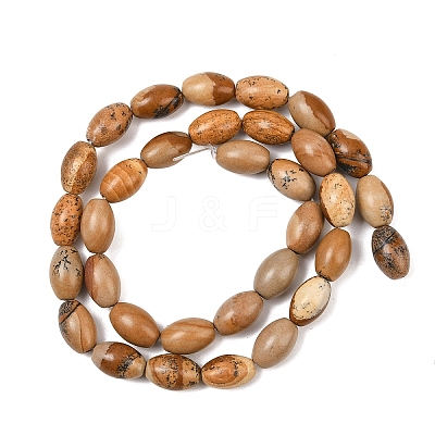 1 Strand Natural Picture Jasper Beads Strands G-YW0002-47-1