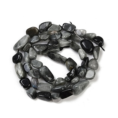 Natural Eagle Eye Stone Beads Strands G-Q060-D06-1