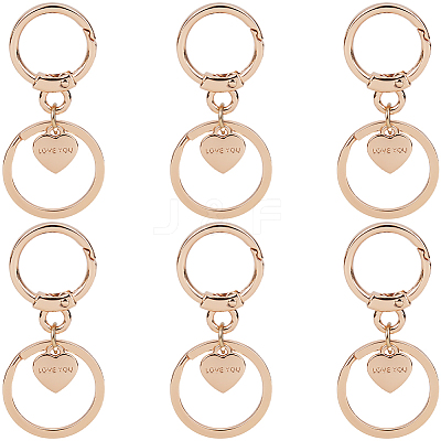 6Pcs Alloy Keychain Clasps FIND-SC0014-43LG-1