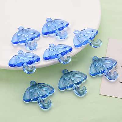 Transparent Acrylic Pendants TACR-T024-01B-940-1