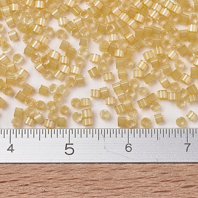 MIYUKI Delica Beads SEED-X0054-DB1801-1
