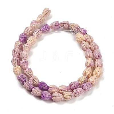 Synthetic Shell Dyed Carved Beads Strands SHEL-K007-08A-01-1