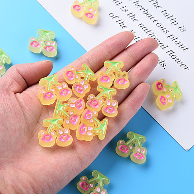 Transparent Acrylic Beads X-MACR-S374-04B-01-1