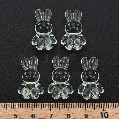 Transparent Acrylic Beads MACR-S373-81-B02-1