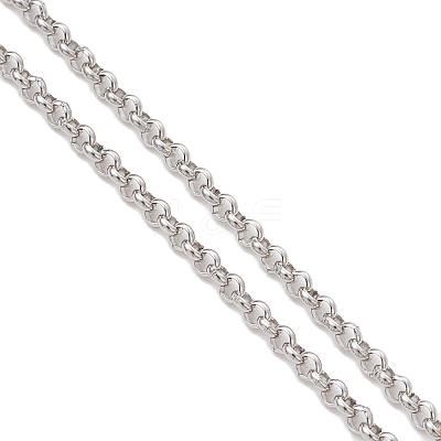 304 Stainless Steel Eyeglasses Chains AJEW-EH00407-1