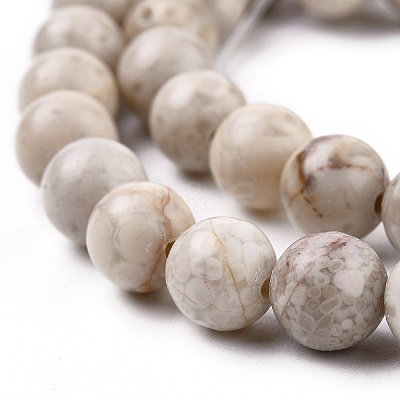 Natural Maifanite/Maifan Stone Beads Strands G-I187-8mm-01-1