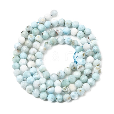 Natural Larimar Beads Strands G-F785-B01-02-1