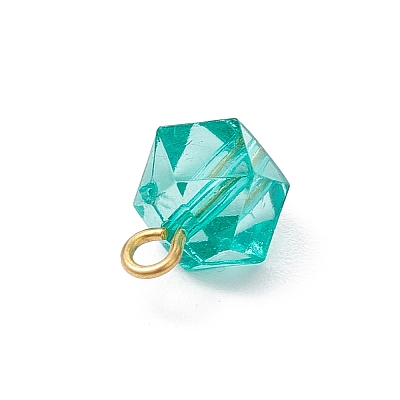 Transparent Acrylic with Iron Pendants PALLOY-JF03680-01-1