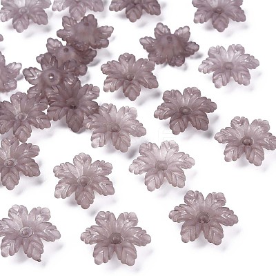 Transparent Acrylic Beads MACR-S373-117-D11-1