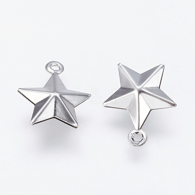 Tarnish Resistant 201 Stainless Steel Charms STAS-K150-04P-1