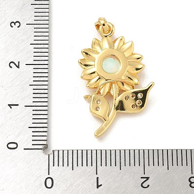 Brass Micro Pave Cubic Zirconia with Resin Pendants KK-G517-05G-01-1