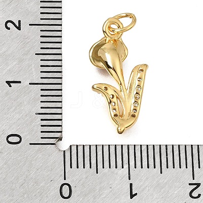 Brass Micro Pave Clear Cubic Zirconia Pendants CU-G605-18G-04-1