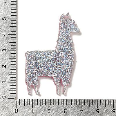 Acrylic Pendants X-OACR-R270-01B-1