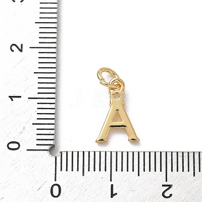 Brass Pave Clear Cubic Zirconia Charms KK-A273-01G-A-1
