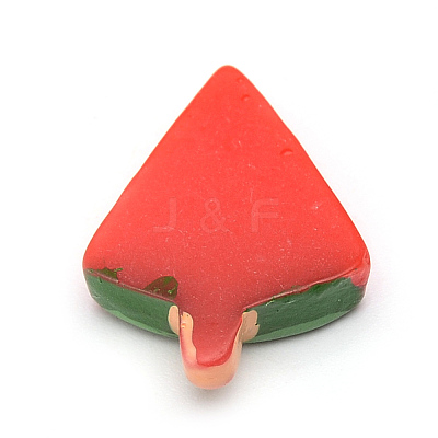Resin Cabochons CRES-T005-05-1