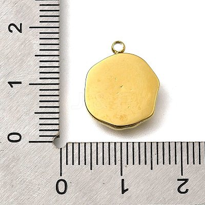 304 Stainless Steel Pendants STAS-R153-03G-02-1