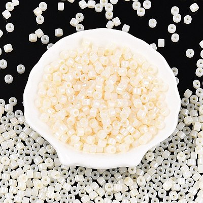 Glass Seed Beads SEED-T008-01B-1