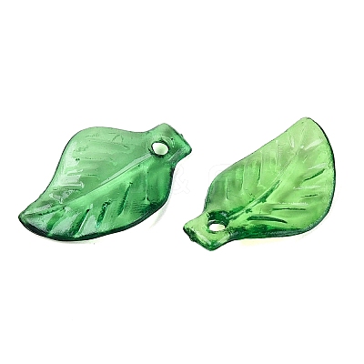 Transparent Acrylic Pendants TACR-436-17-1