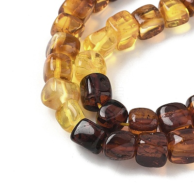 Natural Amber Beads Strands G-L095-E01-02-1