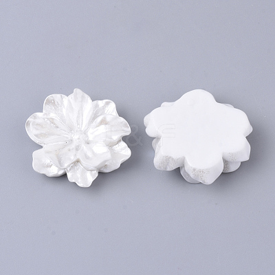 Resin Cabochons RESI-S364-46B-1