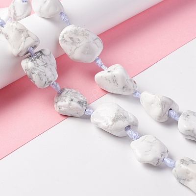 Natural Howlite Beads Strands G-B024-07-1