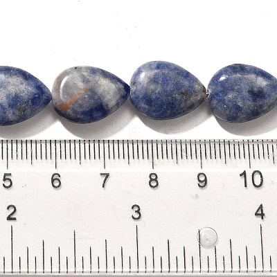 Natural Blue Spot Jasper Beads Strands G-P561-B06-01-1