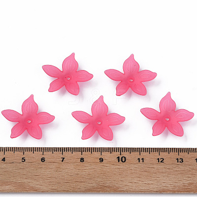 Transparent Acrylic Beads MACR-S373-127-D01-1