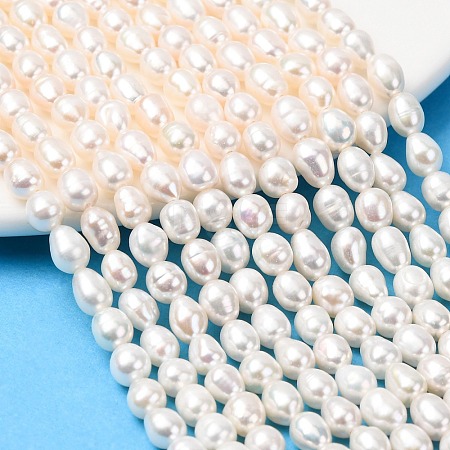 Natural Cultured Freshwater Pearl Beads Strands PEAR-F020-03-1