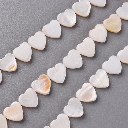 Natural Freshwater Shell Beads Strands SHEL-R144-25-1