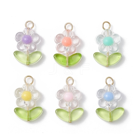 Transparent Acrylic Pendants PALLOY-JF03713-02-1