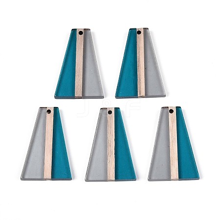 Transparent Resin & Wood Pendants RESI-T057-61A-1