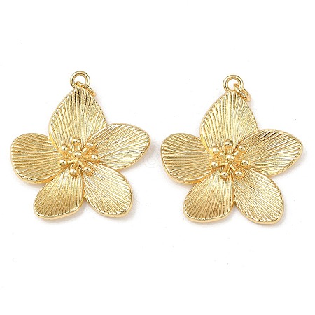 Brass Pendants X-KK-L255-04G-1