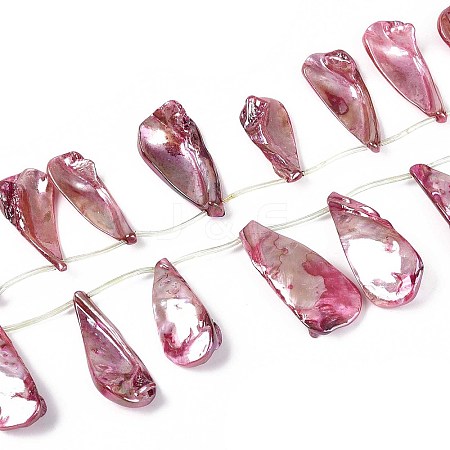 AB Color Plated Dyed Natural Freshwater Shell Beads Strands SHEL-T020-55A-1