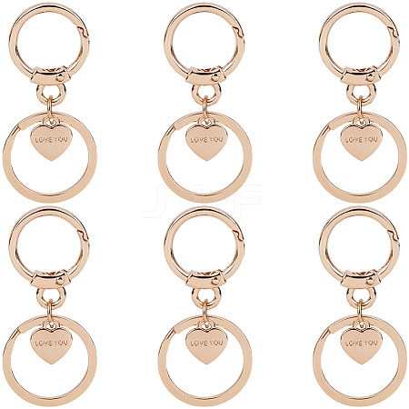 6Pcs Alloy Keychain Clasps FIND-SC0014-43LG-1