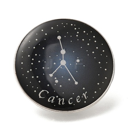 Twelve Constellation Creative Alloy Badges Constellation Brooches JEWB-S033-01P-D-1