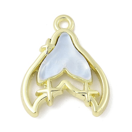 Zinc Alloy Pendants FIND-C067-01A-G-1