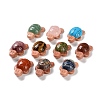 Mixed Gemstone & Natural Rhodonite Tortoise Beads G-G104-03-1