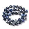 Natural Dumortierite Quartz Beads Strands G-F523-17-10mm-01-4